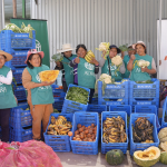 ADRA Perú rescata más de 900 toneladas de alimentos y beneficia a 120 mil personas